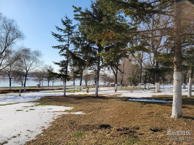 用三星Galaxy S21+ 5G版本記錄北方雪后的景色