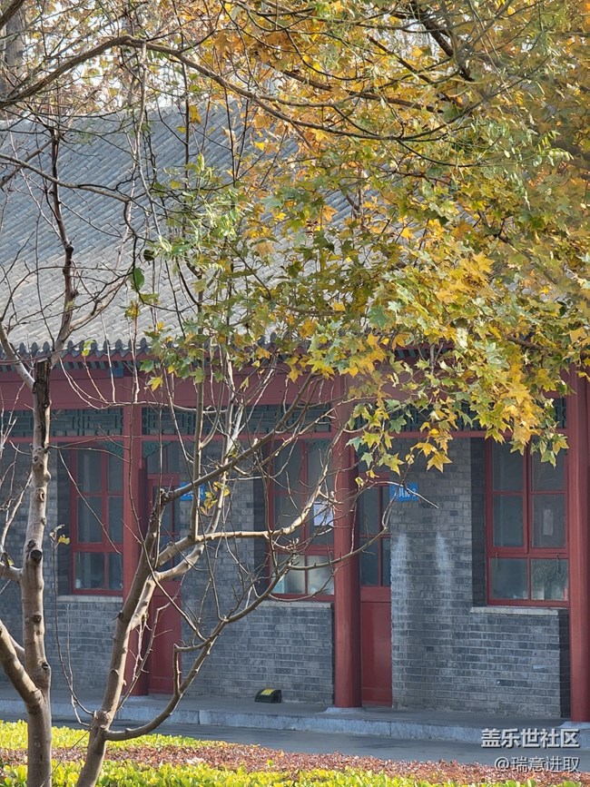 出門隨手拍，試試三星S21 Ultra的拍照，很頂！