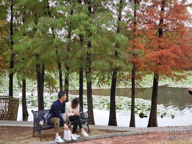 初冬印象＋初冬色彩