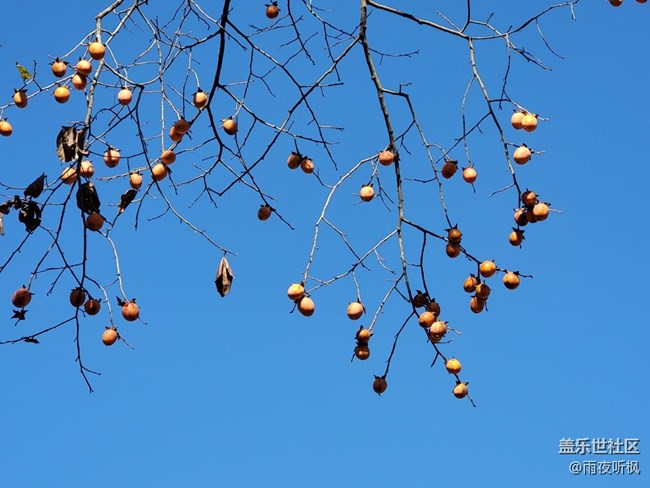 初冬印象＋初冬暖陽