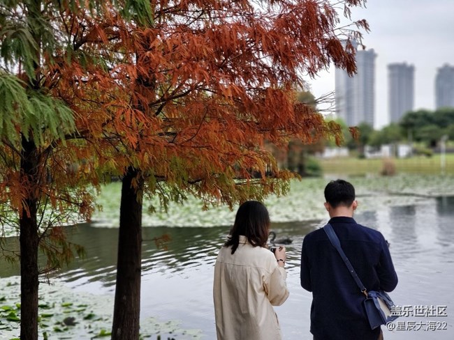 初冬印象＋初冬色彩