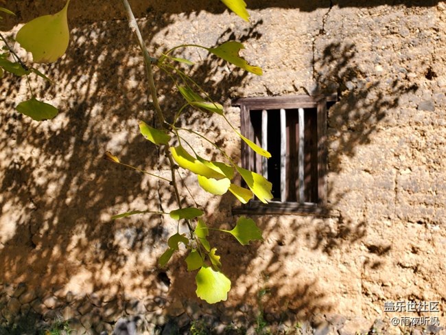 初冬印象＋初冬暖陽