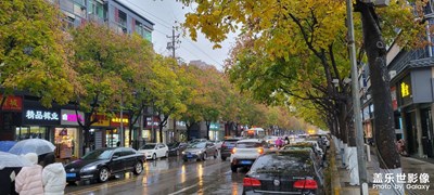 冬天的雨