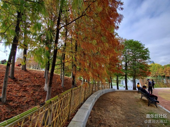 初冬印象＋初冬色彩