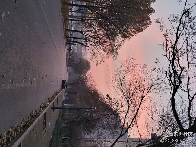 三星S21+拍照不錯