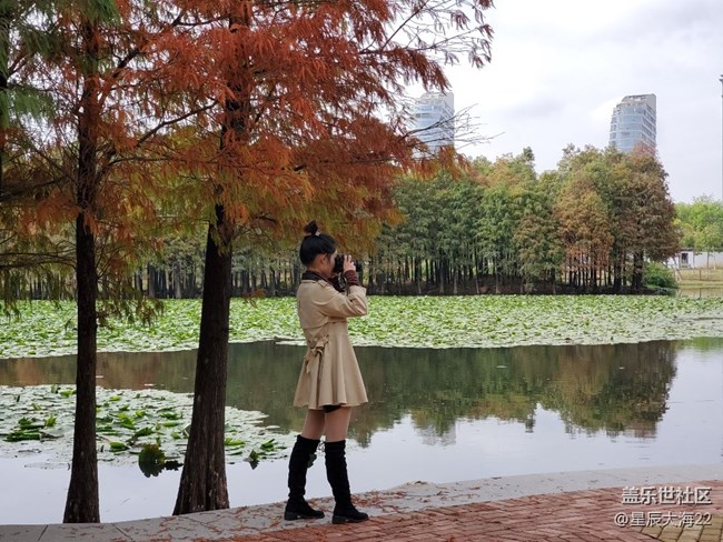 初冬印象＋初冬色彩