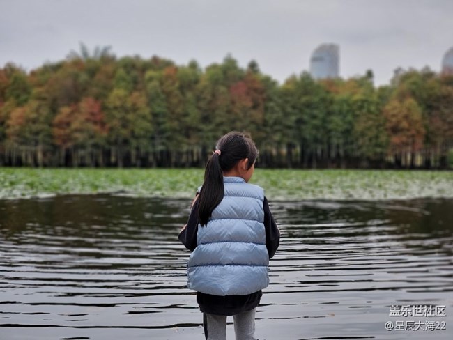 初冬印象＋初冬色彩