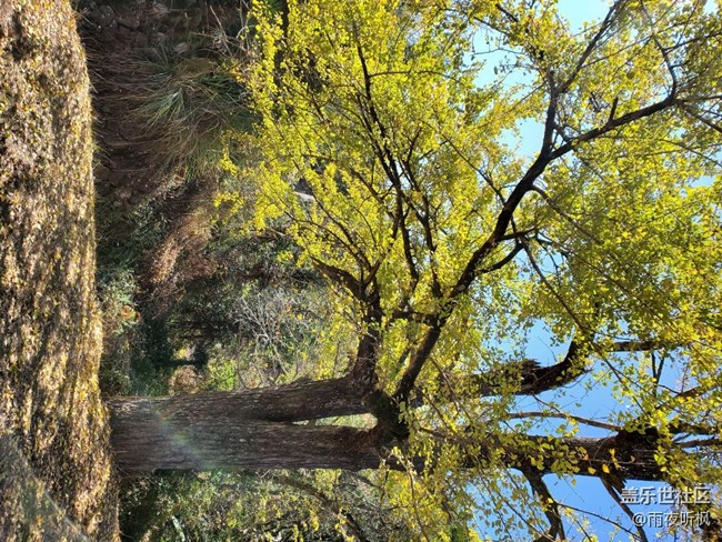 初冬印象＋初冬暖陽