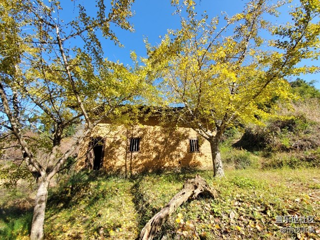 初冬印象＋初冬暖陽