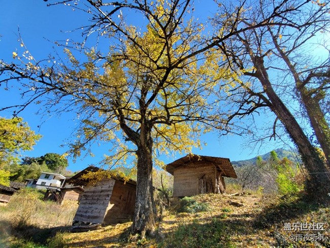 初冬印象＋初冬暖陽