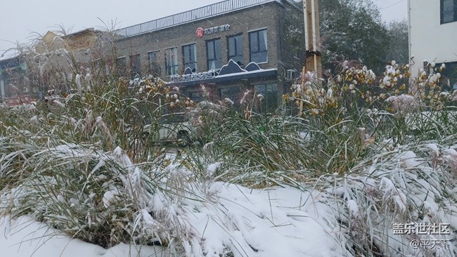 #愛在深秋——秋天的顏色圖片