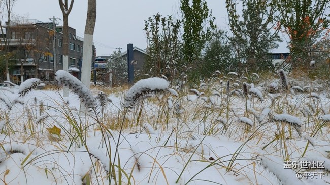 #愛在深秋——秋天的顏色圖片