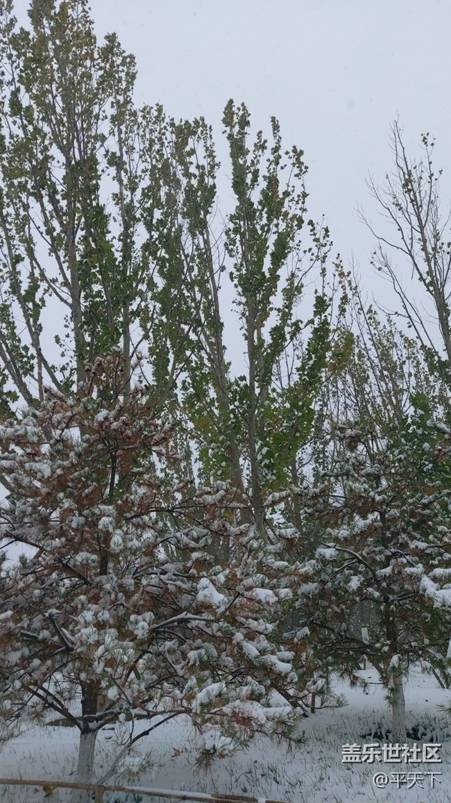 #愛在深秋——秋天的顏色圖片