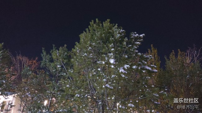 #愛在深秋——雪在深秋
