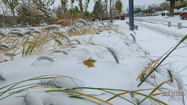 #愛在深秋——秋天的顏色圖片