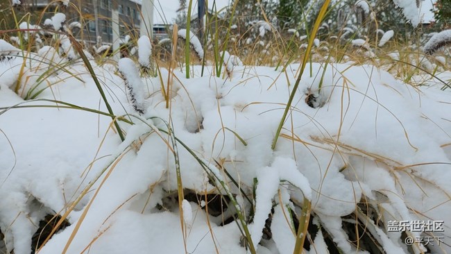 #愛在深秋——秋天的顏色圖片