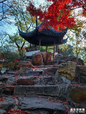 拙政深秋