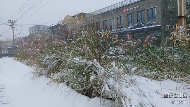 #愛在深秋——秋天的顏色圖片