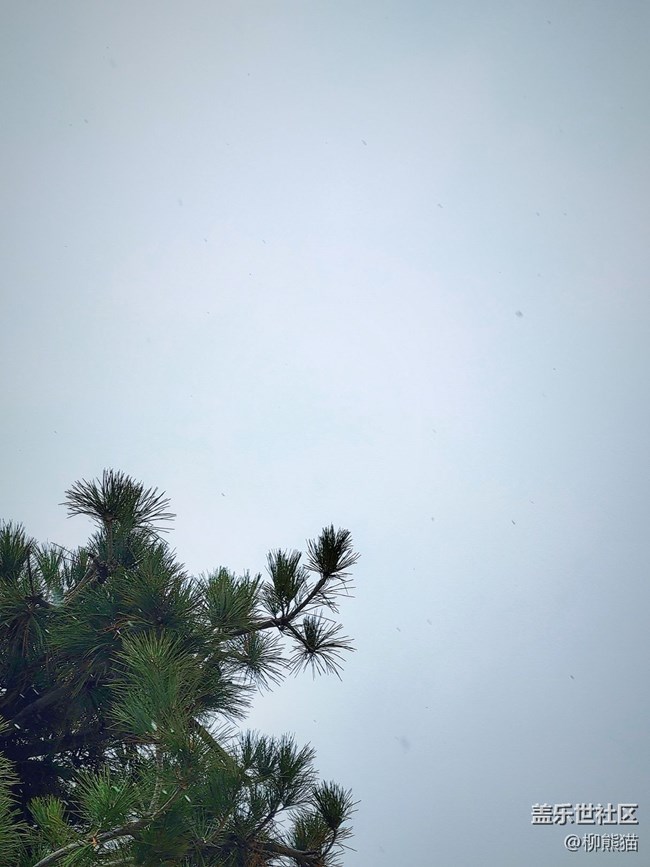 【古今建筑】+東北解放紀(jì)念碑