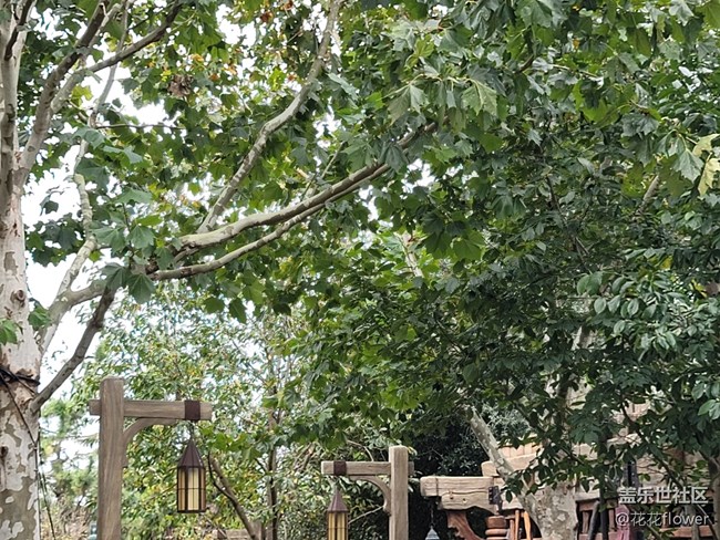 #初冬印象——蕭瑟