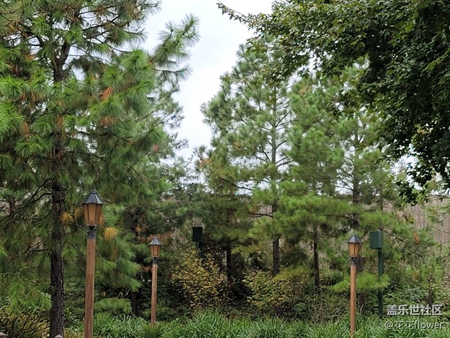 #初冬印象——蕭瑟