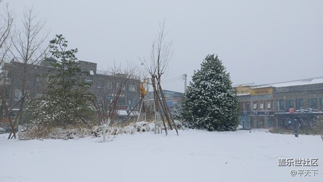 #愛在深秋——秋天的顏色圖片