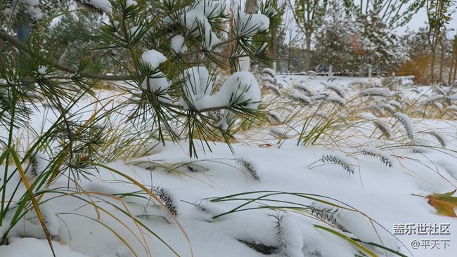 #愛在深秋——秋天的顏色圖片
