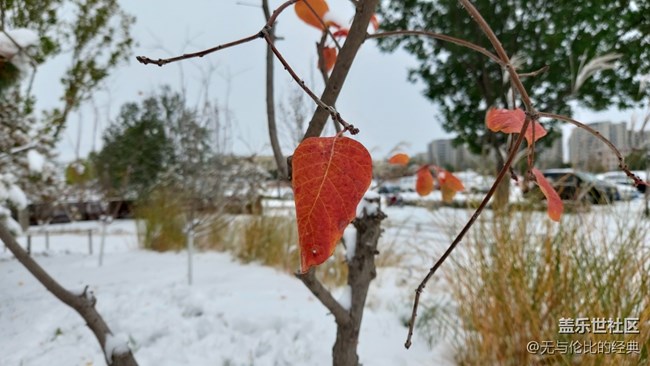 #愛在深秋——秋天的雪是什么樣子