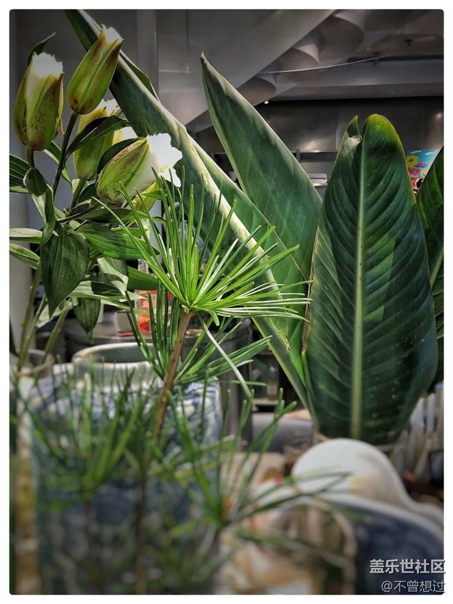 【古今建筑】探店之一個書店