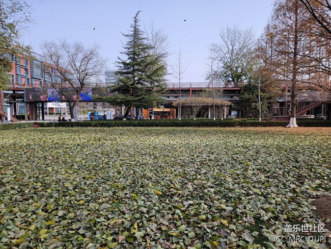 三星S21U在798藝術(shù)園區(qū)的隨手拍