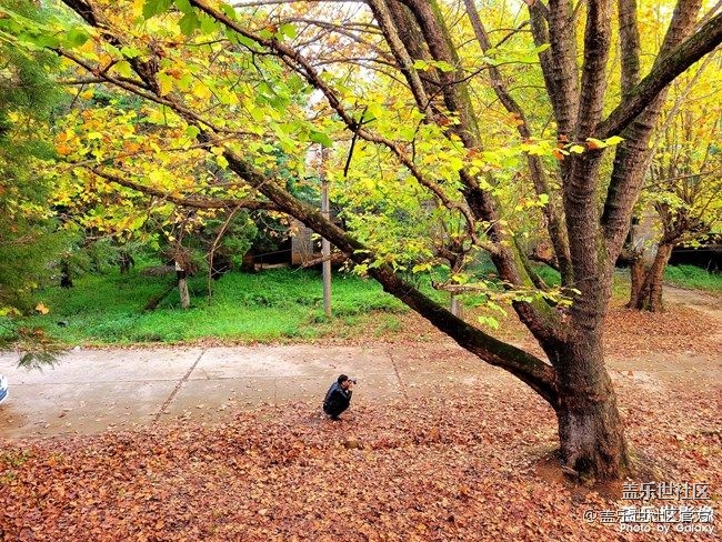 《每周星鮮事》 第88期