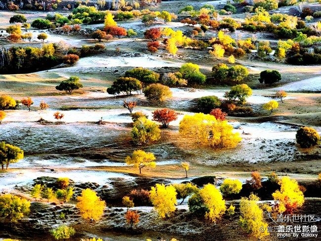 《每周星鮮事》 第88期