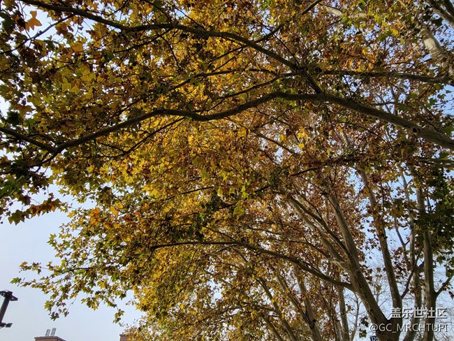 三星S21U在798藝術(shù)園區(qū)的隨手拍