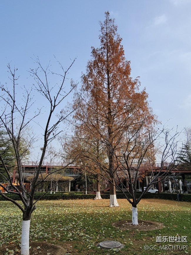 三星S21U在798藝術(shù)園區(qū)的隨手拍