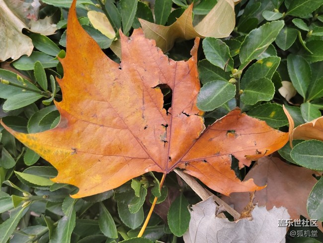 青島降溫了，不過今天天氣真不錯