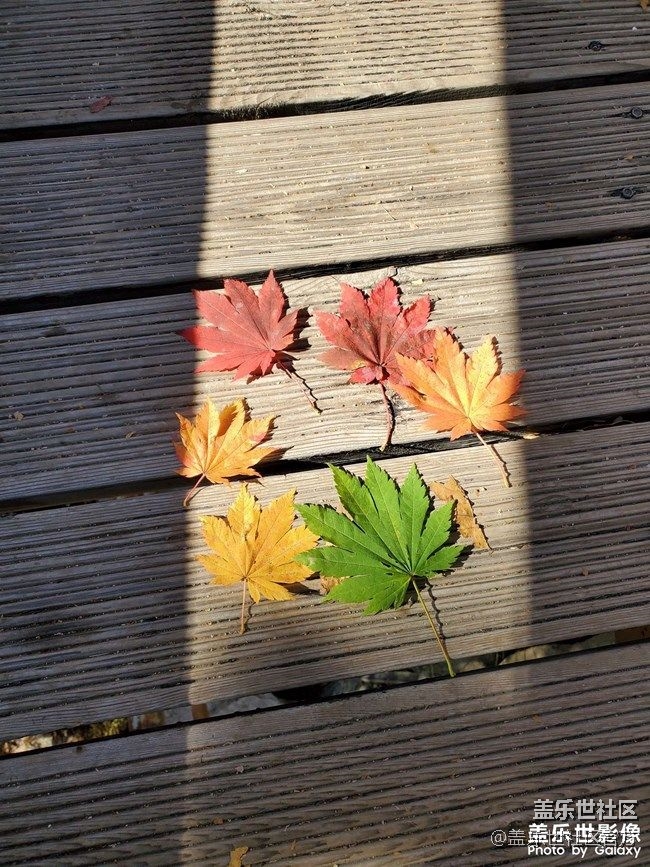 《每周星鮮事》 第88期:小雪時節(jié)美食攻略-曬美食 贏好禮