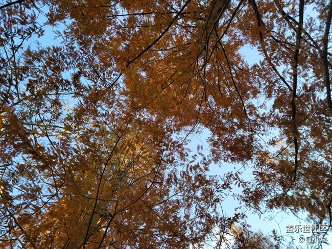 青島降溫了，不過今天天氣真不錯