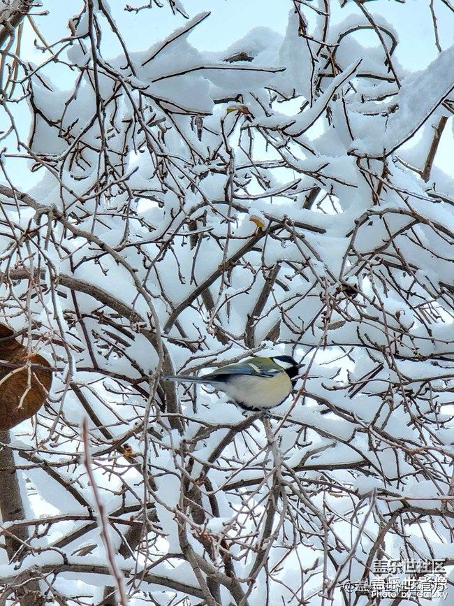 《每周星鮮事》 第88期