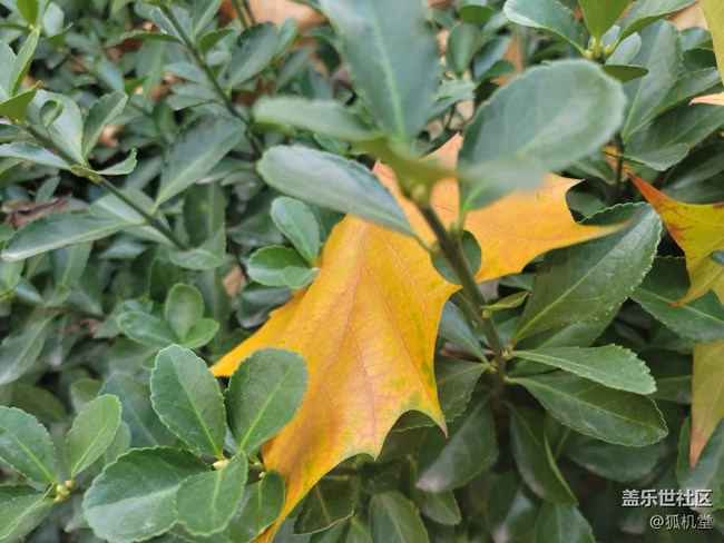 青島降溫了，不過今天天氣真不錯