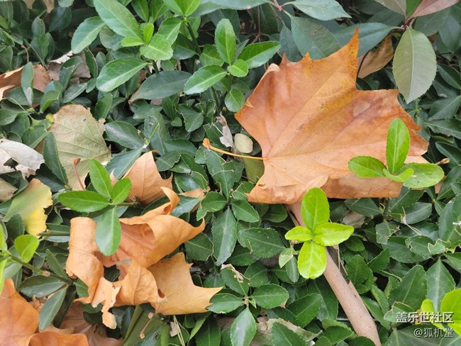 青島降溫了，不過今天天氣真不錯