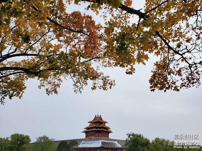 《每周星鮮事》 第88期