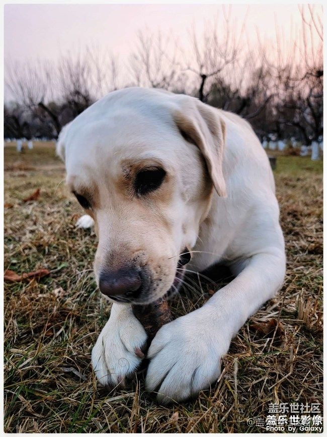 《每周星鮮事》 第88期:小雪時節(jié)美食攻略-曬美食 贏好禮