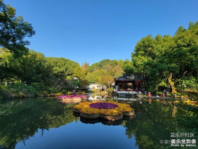 《每周星鮮事》 第88期