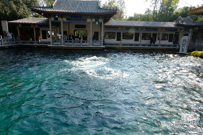 濟(jì)南星部落11月趵突泉攝影回顧