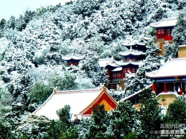 《每周星鮮事》 第88期