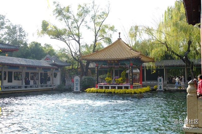 濟(jì)南星部落11月趵突泉攝影回顧