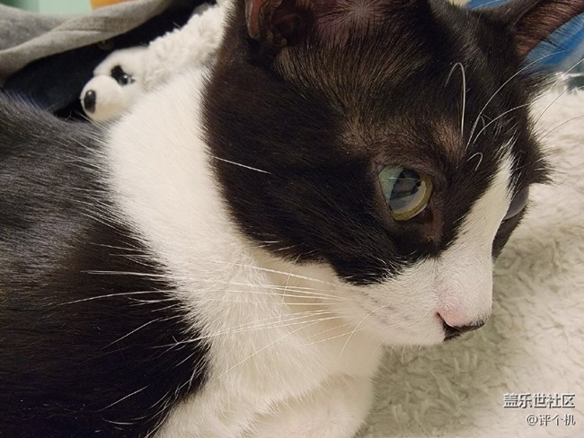 三星S21 Ultra隨手拍，機(jī)皇該有的表現(xiàn)