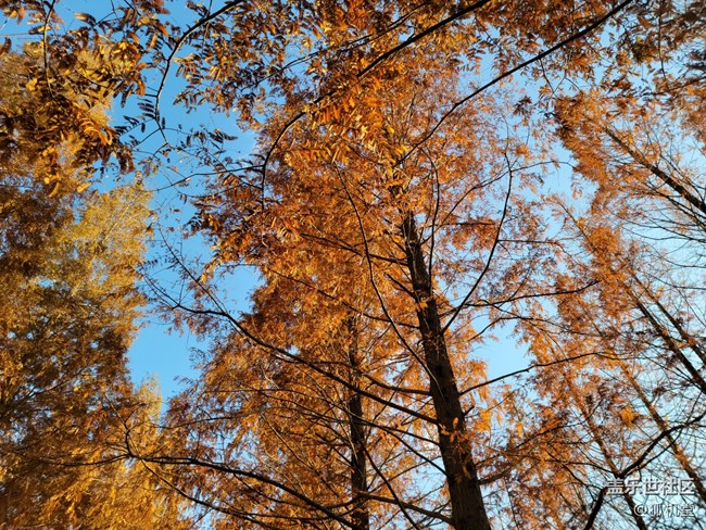 青島降溫了，不過今天天氣真不錯