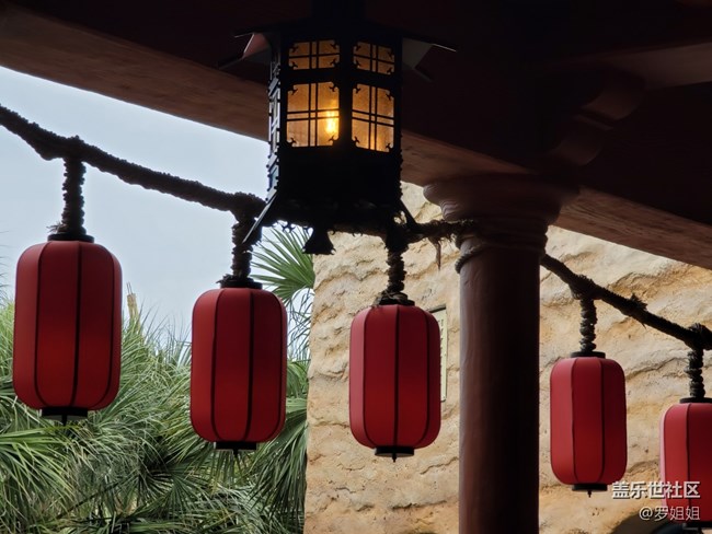 #初冬印象——紅紅火火