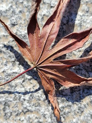 辦公室附近隨拍